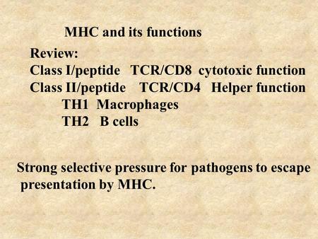 MHC and its functions Review: Class I/peptide TCR/CD8 cytotoxic function Class II/peptide TCR/CD4 Helper function TH1 Macrophages TH2 B cells Strong selective.