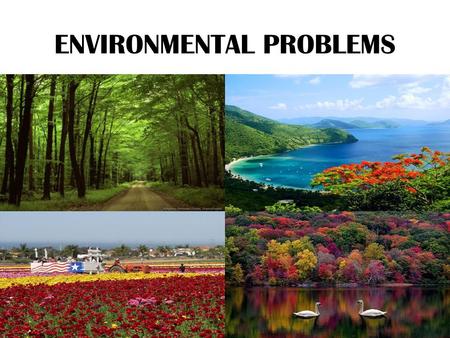 ENVIRONMENTAL PROBLEMS. Conversation with on duty 1.What day is it today? 2.What date is it today? 3.What is the weather like today? 4.Who is absent today?