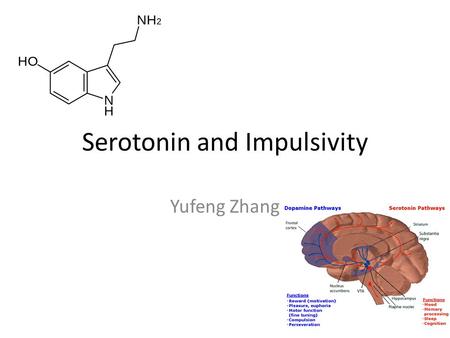 Serotonin and Impulsivity Yufeng Zhang. Serotonin Originate from the median and dorsal raphe nuclei. Serotonin has been implicated in a variety of motor,