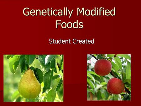 Genetically Modified Foods Student Created. What are Genetically Modified Foods? Genetically modified foods are plants that have been modified in a laboratory.
