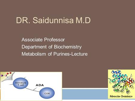 DR. Saidunnisa M.D Associate Professor Department of Biochemistry Metabolism of Purines-Lecture.
