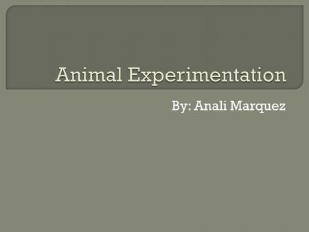 By: Anali Marquez.  There has been a huge debate whether we should keep testing on animals for the benefit medical research. Or abolish the torturing.