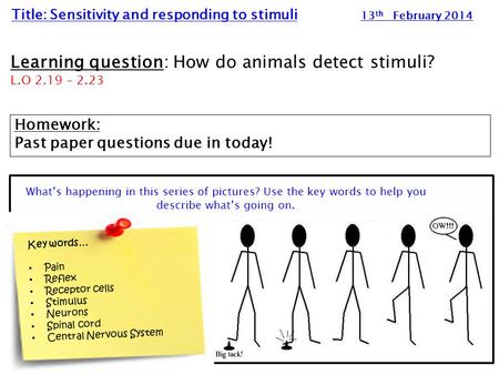 Learning question: How do animals detect stimuli?