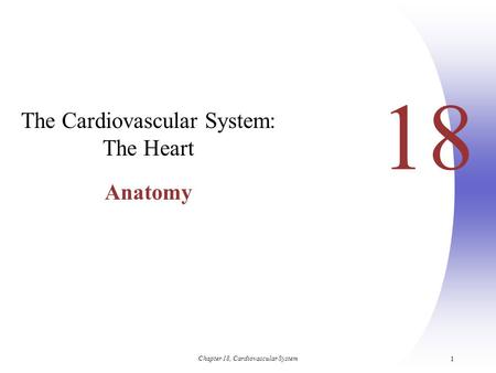 The Cardiovascular System: The Heart Anatomy
