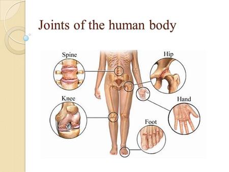 Joints of the human body. Joints are the point of contact (articulations) between two connecting bones. The stability and the integrity of joints are.