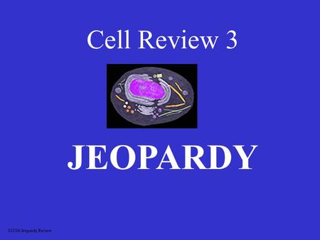 Cell Review 3 JEOPARDY S2C06 Jeopardy Review OrganellesVocabulary Cell Differences Picture ID Misc 100 200 300 400 500.