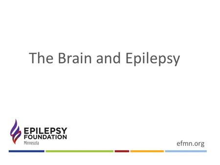 The Brain and Epilepsy efmn.org. Introductions- who we are? Amanda Pike- Education Senior Program Manager, Epilepsy Foundation of MN Jeannine Conway-