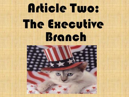 Article Two: The Executive Branch. The executive Branch is headed by the President of the United States. Can you name them?