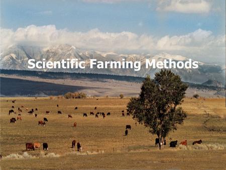 Scientific Farming Methods. Why do the farmers use scientific farming methods? To increase the productivity To solve the farming problems.