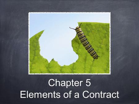 Chapter 5 Elements of a Contract