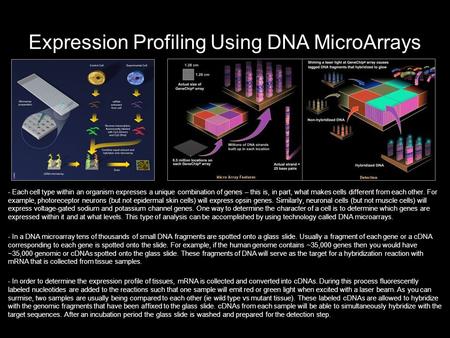 Expression Profiling Using DNA MicroArrays - Each cell type within an organism expresses a unique combination of genes – this is, in part, what makes cells.