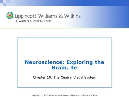 Copyright © 2007 Wolters Kluwer Health | Lippincott Williams & Wilkins Neuroscience: Exploring the Brain, 3e Chapter 10: The Central Visual System.