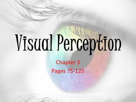 Visual Perception Chapter 3 Pages 75-125.