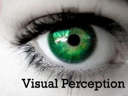 Visual Perception.
