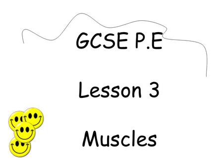 GCSE P.E Lesson 3 Muscles.