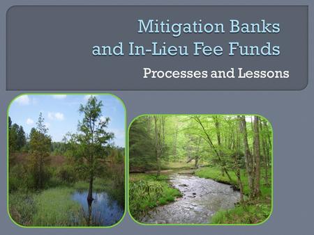 Processes and Lessons.  Provide compensation for stream or wetland impacts permitted under the Virginia Water Protection Permit Program (VWPP)  Credits.