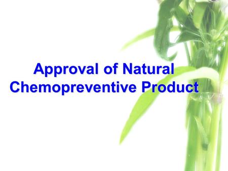 Approval of Natural Chemopreventive Product. Scope of The Study Preclinical evaluation (In vivo)Preclinical evaluation (In vivo) –Toxicity testing  Acute.