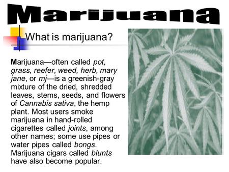 What is marijuana? Marijuana—often called pot, grass, reefer, weed, herb, mary jane, or mj—is a greenish-gray mixture of the dried, shredded leaves, stems,
