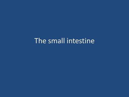 The small intestine.