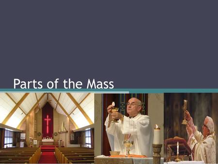 Parts of the Mass.