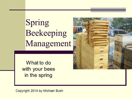 Spring Beekeeping Management What to do with your bees in the spring Copyright 2014 by Michael Bush.
