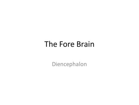 The Fore Brain Diencephalon.