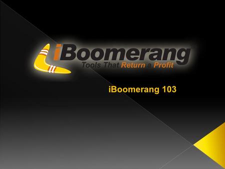 IBoomerang 103.  PowerDialer  Contact Management Tool.