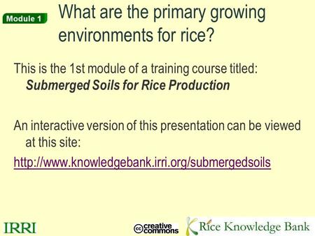 1 What are the primary growing environments for rice? This is the 1st module of a training course titled: Submerged Soils for Rice Production An interactive.