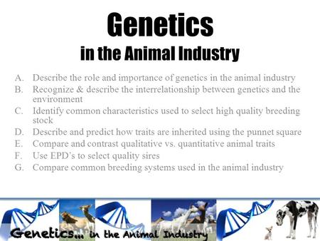 Genetics in the Animal Industry A.Describe the role and importance of genetics in the animal industry B.Recognize & describe the interrelationship between.