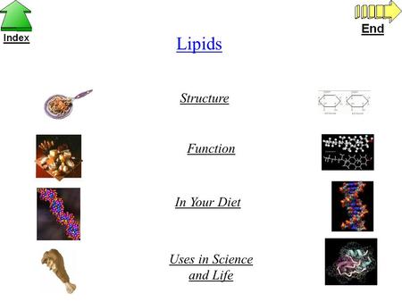 Lipids Structure Function In Your Diet Uses in Science and Life.