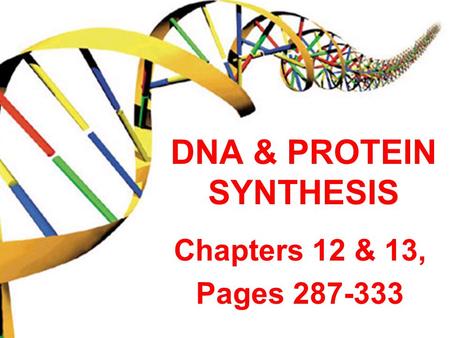 DNA & PROTEIN SYNTHESIS
