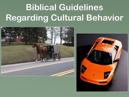 Biblical Guidelines Regarding Cultural Behavior. What are some decisions? 1 Tim. 2:9-10 clothing, modesty.
