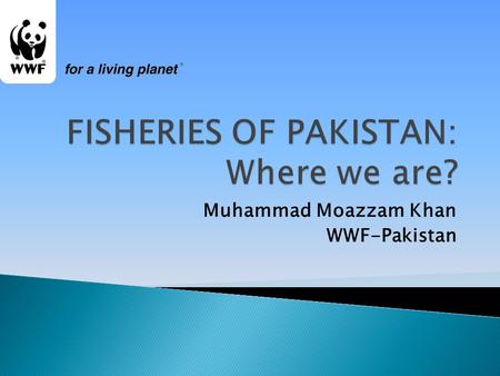 Muhammad Moazzam Khan WWF-Pakistan. BOX FISH SUNFISH.