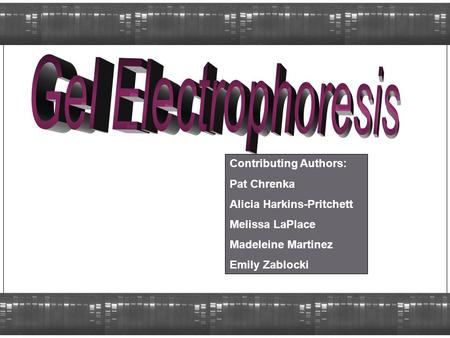 Contributing Authors: Pat Chrenka Alicia Harkins-Pritchett Melissa LaPlace Madeleine Martinez Emily Zablocki.
