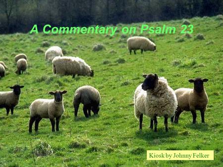 A Commentary on Psalm 23 Kiosk by Johnny Felker.