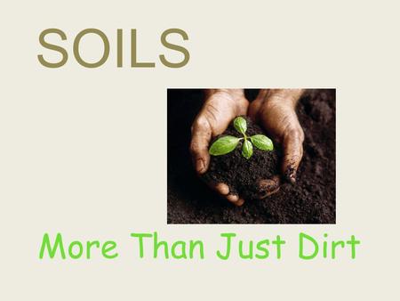SOILS More Than Just Dirt. What Is Soil? Soil is a layer that covers most of the land surface of the earth. Soil is what forests, fields and gardens grow.
