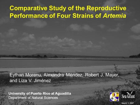 Comparative Study of the Reproductive Performance of Four Strains of Artemia Eythan Morenu, Alexandra Méndez, Robert J. Mayer, and Liza V. Jiménez University.