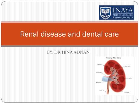 BY: DR HINA ADNAN Renal disease and dental care. RENAL DISEASE People whose kidneys do not function properly occasionally receive dialysis, a process.