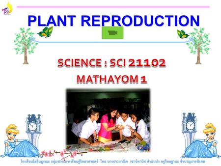 PLANT REPRODUCTION SCIENCE : SCI 21102 MATHAYOM 1.