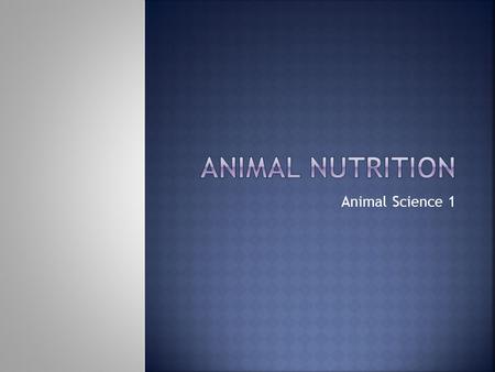 Animal Science 1.  Major groups of nutrients  Carbohydrates  Fats and Oils  Proteins  Vitamins  Minerals  Water.