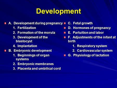 Development A. Development during pregnancy 1. Fertilization 1. Fertilization 2. Formation of the morula 2. Formation of the morula 3. Development of the.