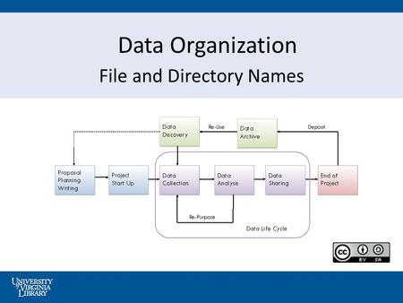 Data Organization File and Directory Names. Organizing Your Files and Directories Searching & finding Sharing Security Clarity Preservation Improves.