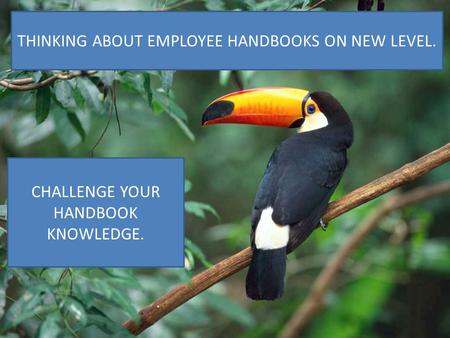 EMPLOYEE HANDBOOKS TEN COMMON MISTAKES Presented by Cathy A. Pilkington Law Offices of Cathy A. Pilkington 160 N Clark Street, Suite 4700 Chicago, IL 60601.
