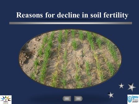 Reasons for decline in soil fertility