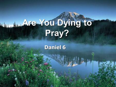 Are You Dying to Pray? Daniel 6.