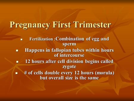 Pregnancy First Trimester Fertilization : Combination of egg and sperm Fertilization : Combination of egg and sperm Happens in fallopian tubes within hours.
