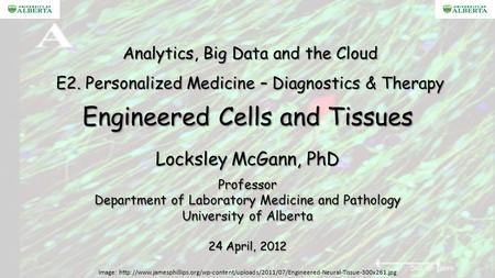 Engineered Cells and Tissues Locksley McGann, PhD Professor Department of Laboratory Medicine and Pathology University of Alberta 24 April, 2012 Analytics,