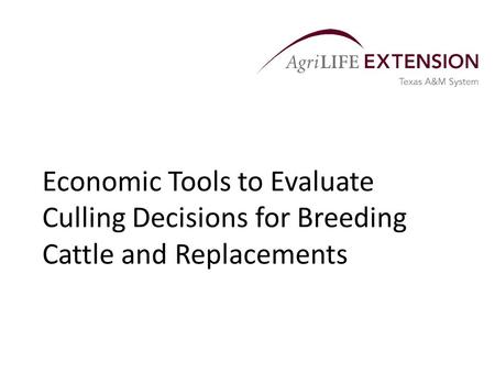Economic Tools to Evaluate Culling Decisions for Breeding Cattle and Replacements.
