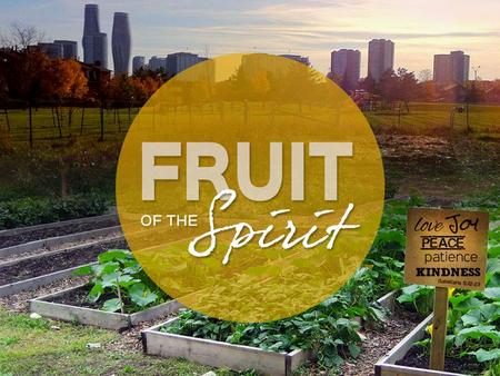 FRUIT OF THE SPIRIT “The church is God’s Garden. The community of disciples is the plot where the Holy Spirit is nurturing and bringing forth fruit.