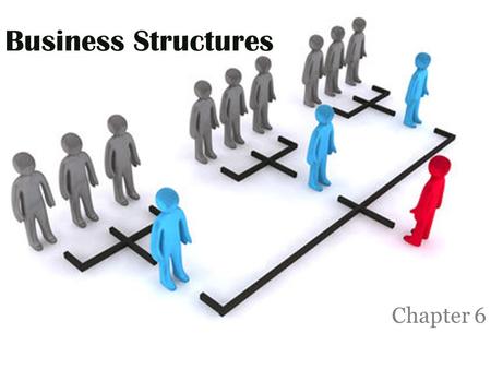 Business Structures Chapter 6.